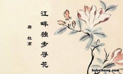 《江畔独步寻花》意思 诗意 江畔独步寻花其三的古诗