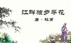 《江畔独步寻花其二》 《江畔独步寻花》其二古诗