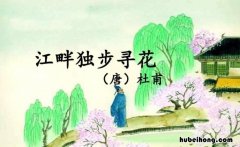 江畔独步寻花其五的意思是什么 翻译 江畔独步寻花古诗其五古诗意思