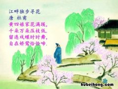 江畔独步寻花其六诗词 江畔独步寻花其六秒懂百科