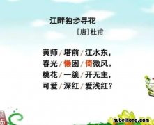 《江畔独步寻花》这首诗表达了诗人怎样的思想感情? 江畔独步寻花这首诗表达了诗人的什么