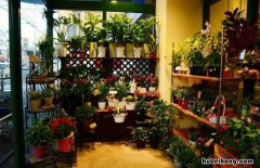 花艺培训学费800左右的 花店培训一般学多久