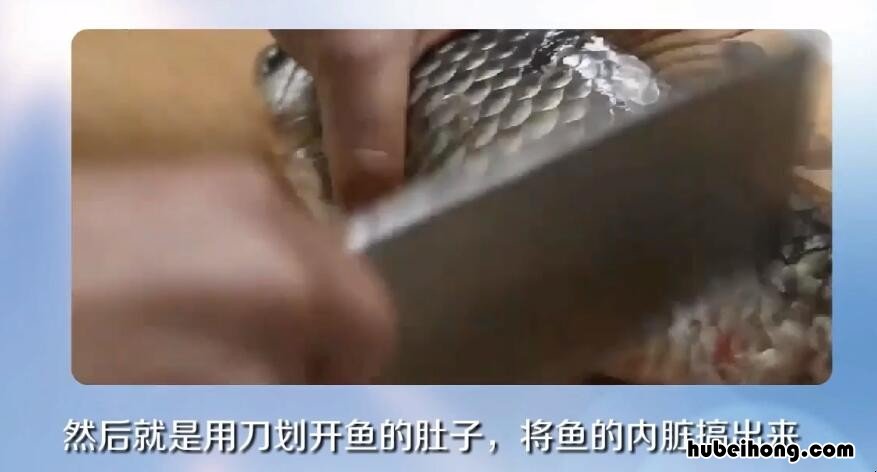 杀鱼最简单的方法如下 杀鱼的一百种方法
