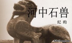 读《河中石兽》有感300字 河中石兽读后感悟