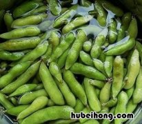 水煮毛豆的做法及配料窍门视频 水煮毛豆的做法及配料窍门图片