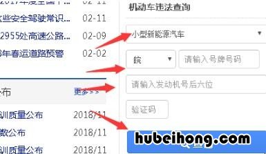 新能源车查询违章怎么查询 新能源车如何查询违章