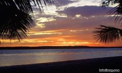 海滨仲夏夜主要写了什么 海滨仲夏夜的感情基调
