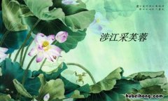涉江采芙蓉下一句是什么 涉江采芙蓉作品出处