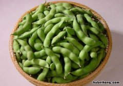 毛豆怎么保鲜储存 毛豆保存