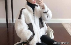 羊羔毛和羊羔绒有什么区别 羊羔毛与羊羔绒的区别