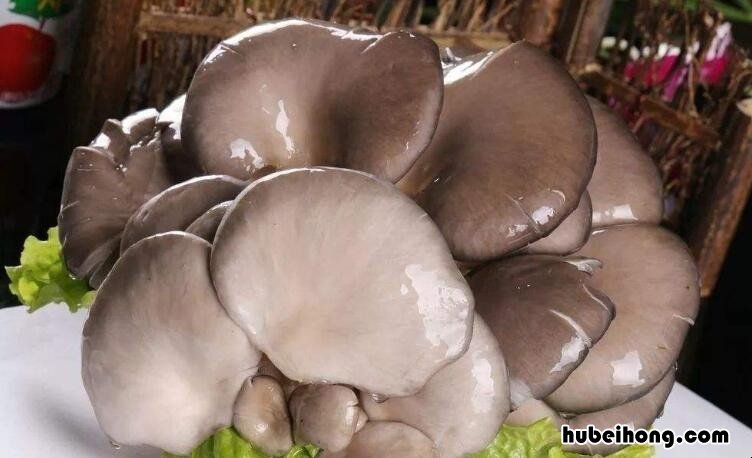 新鲜蘑菇放冰箱冷藏能放几天 新鲜蘑菇放冰箱能放多久