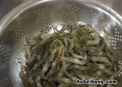河虾炒韭菜怎么做 河虾炒韭菜怎么做好吃