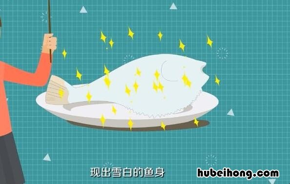养殖河豚怎么处理才没毒 野生河豚怎么处理才没毒