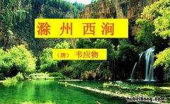 滁州西涧这个古诗的意思是什么 滁州西涧,这首诗的意思