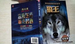 《狼王》读后感怎么写四年级 《狼王》读后感怎么写300字