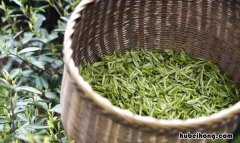 明前茶的冷知识 明前茶简介