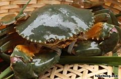 活螃蟹可以冷冻吗保存多久 活螃蟹可以冷冻吗多长时间
