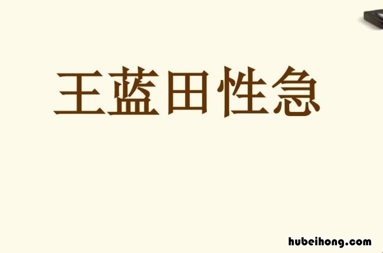 王蓝田性急出自哪篇文言文 王蓝田性急这个故事是什么意思