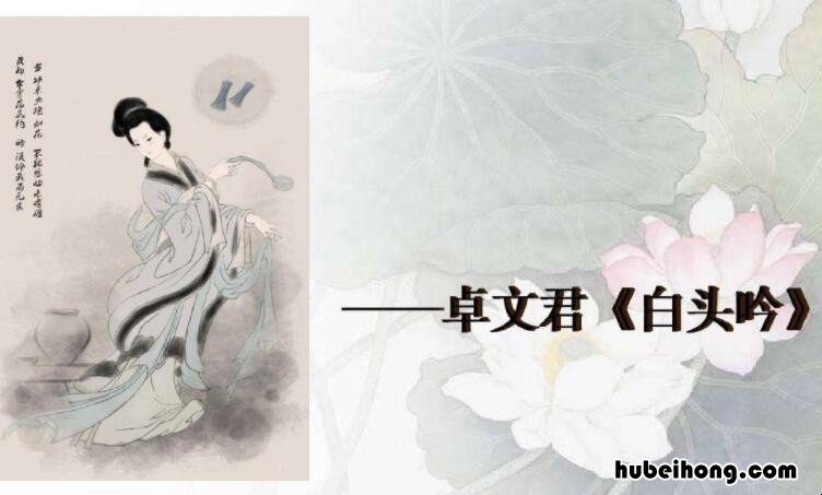 白头吟出处 《白头吟》译文