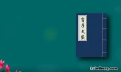 盲子失坠是什么意思 盲子失坠断句