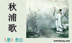 其十七 秋浦歌 秋浦歌其十七古诗