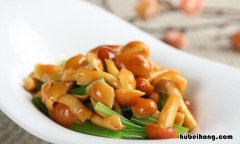滑子菇产地是哪里 滑子菇哪里产量大