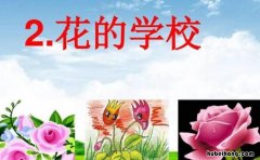 花的学校表现出了花儿的什么特点 花的学校表现了花儿什么的特点