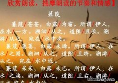 蒹葭象征着什么寓意 蒹葭有什么象征意义