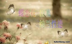 蝶恋花·出塞原文感情 蝶恋花·出塞阅读答案