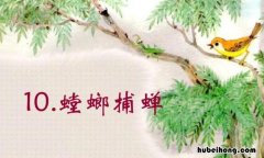 螳螂捕蝉告诉我们一个怎样的道理 螳螂捕蝉告诉我们一个什么道理