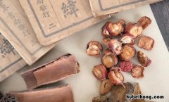 焦山楂和山楂的区别是什么 焦山楂和山楂的区别是什么意思