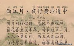 《西江月*夜行黄沙道中》 西江月·夜行黄沙道中解析