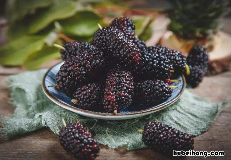 桑葚如何清冼 桑葚如何清醒