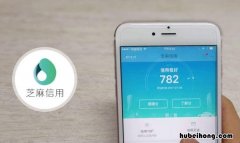 芝麻信用分不涨原因是什么 芝麻信用是什么