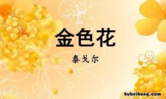 金色花读后感200字作文四年级 金色花读后感200字左右