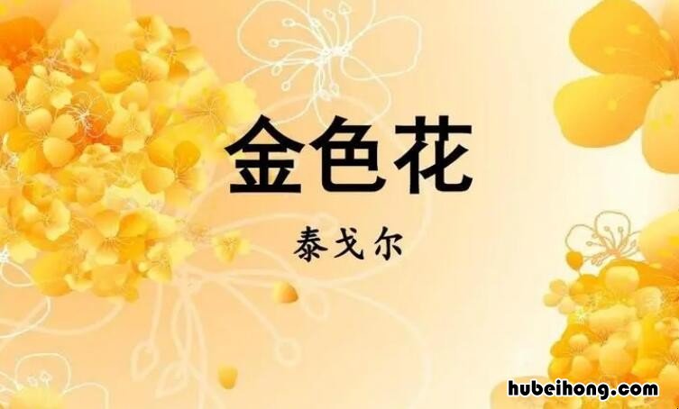 金色花读后感200字作文四年级 金色花读后感200字左右