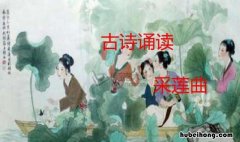 采莲曲是诗歌吗 采莲曲是什么题材的诗