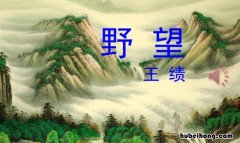 《野望》古诗的作者是谁写的 《野望》古诗的作者是谁