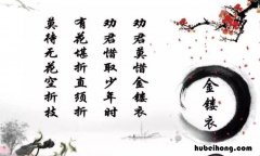 金缕衣的作者是什么名? 金缕衣作者简介