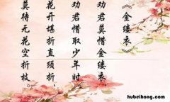 《金缕衣》的创作背景是什么意思 《金缕衣》的创作背景是什么呢