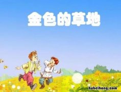金色的草地文章大意 金色的草地主要写了什么