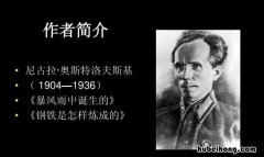钢铁是怎样炼成的作者是谁? 钢铁是怎样炼成的这篇文章的作者是谁写的