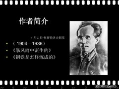 《钢铁是怎样炼成的》的作者介绍 钢铁是怎样炼成的作者简况