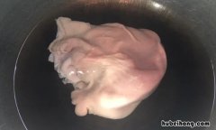 猪肚焯水多长时间 猪肚焯水多久熟