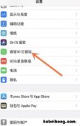 苹果12怎么设置密码锁屏 苹果11手机怎么设置密码锁屏时间和日期