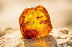 琥珀是怎么形成的 天然琥珀是怎样形成的,视频播放