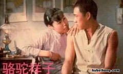《骆驼祥子》夏太太的人物性格 《骆驼祥子》中夏太太的人物形象