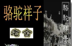 骆驼祥子是一篇什么类型的文章 《骆驼祥子》属于什么体裁的小说
