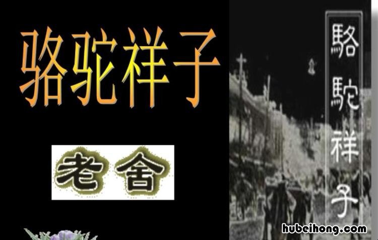 骆驼祥子是一篇什么类型的文章 《骆驼祥子》属于什么体裁的小说