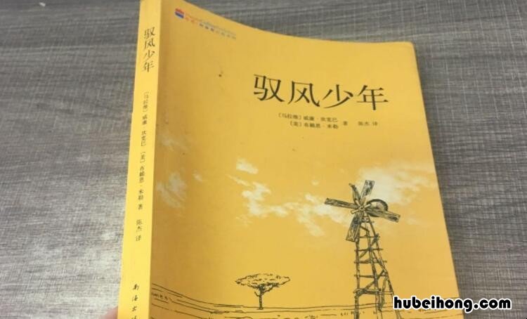 驭风少年的观后感 驭风少年感悟